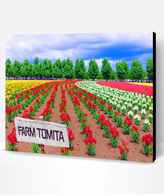 Farm Tomita Paint By Number