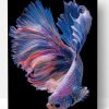 Purple Betta Fishe Vector Paint By Number