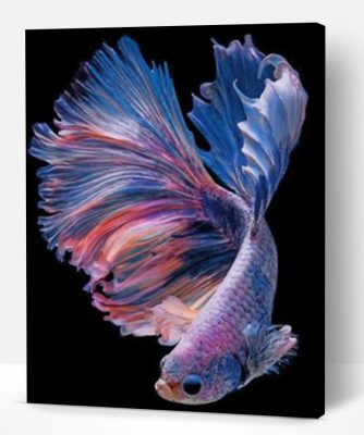 Purple Betta Fishe Vector Paint By Number