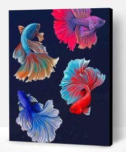 Betta Fishes Vector Paint By Number