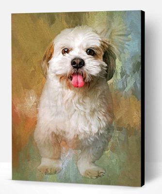 Fluffy Shih Tzu Paint By Number