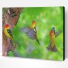 Flying Western Tanager Birds Paint By Number
