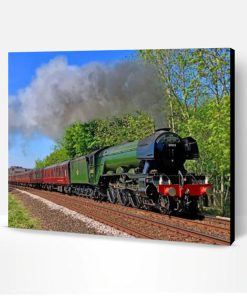 Flying Scotsman Paint By Number