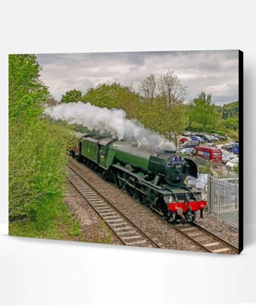 Flying Scotsman Train Paint By Number