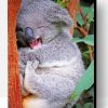 Funny Koala Paint By Number