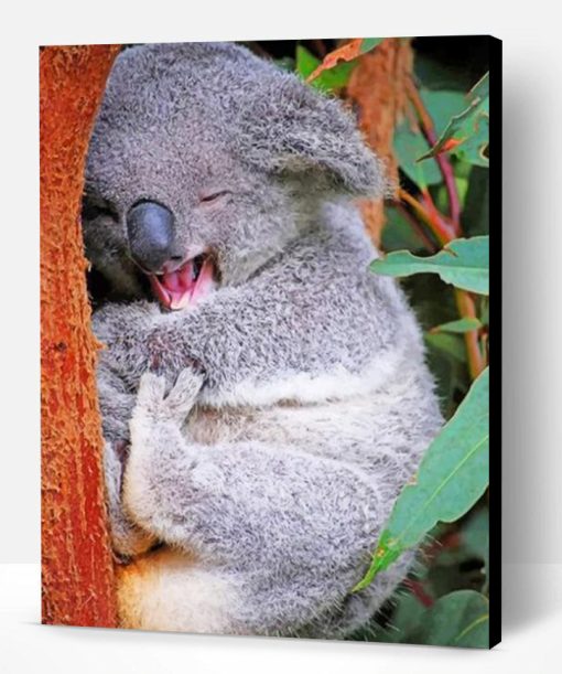 Funny Koala Paint By Number