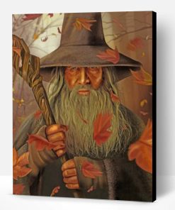 Gandalf Illustration Paint By Number