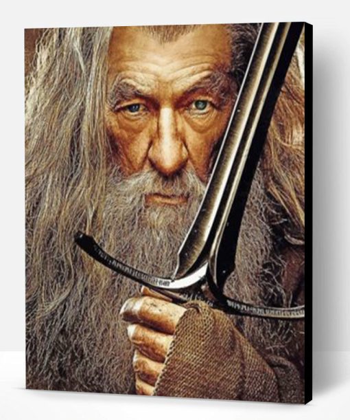 Gandalf Lord Of The Rings Paint By Number