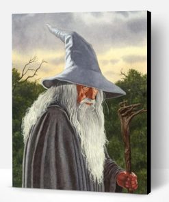 Gandalf Lord Of The Rings Paint By Number