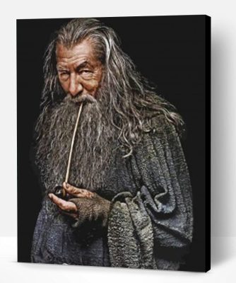 Gandalf Paint By Number