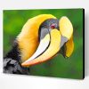 Great Hornbill Paint By Number