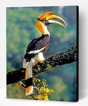 Great Indian Hornbill Paint By Number