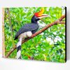 Great Pied Hornbill Bird Paint By Number