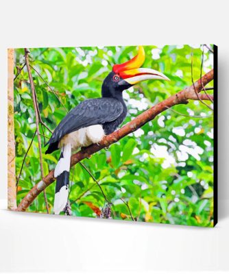 Great Pied Hornbill Bird Paint By Number