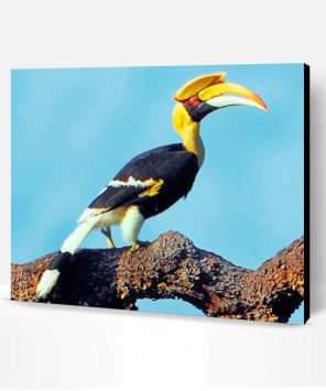 Great Pied Hornbill Paint By Number