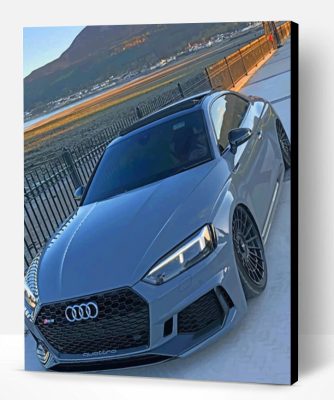 Grey Audi Rs5 Paint By Number