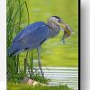 Grey Heron With Fish Paint By Number