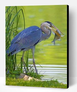 Grey Heron With Fish Paint By Number