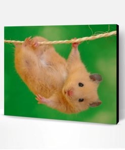 Hamster Doing Stunts Paint By Number