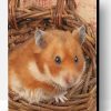 Adorable Hamster Paint By Number
