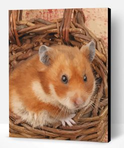 Adorable Hamster Paint By Number