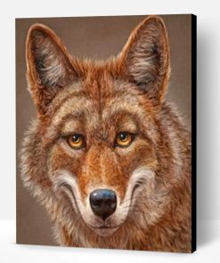 Happy Coyote Paint By Number