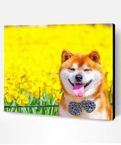 Shiba Inu Dog Paint By Number