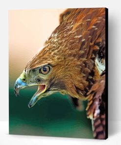 Aesthetic Hawk Eagle Bird Paint By Number