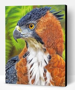 Hawk Eagle Paint By Number