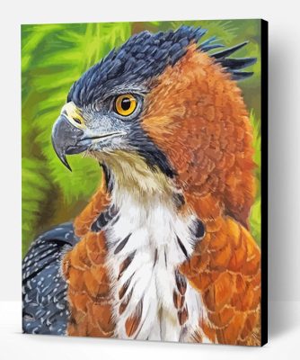 Hawk Eagle Paint By Number