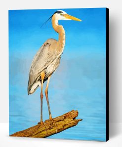 Heron Paint By Number