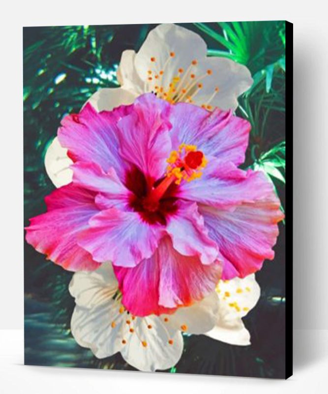 Hibiscus Flower Paint By Number