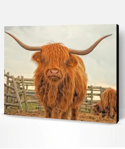 Highland Cattle Paint By Number