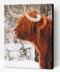 Highland Cow In Snow Paint By Number