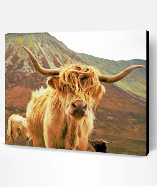 Highland Cow Gazing Paint By Number