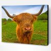 Brown Highland Cow Paint By Number
