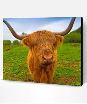 Brown Highland Cow Paint By Numbers - Paint By Numbers PRO