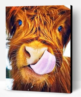 Highland Cow Paint By Number