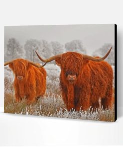 Highland Cows In The Snow Paint By Number