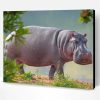 Hippopotamus Animal Paint By Number