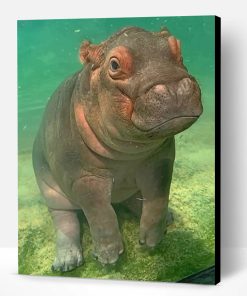 Hippopotamus Paint By Number