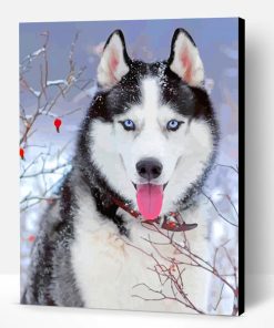 Husky In Snow Paint By Number