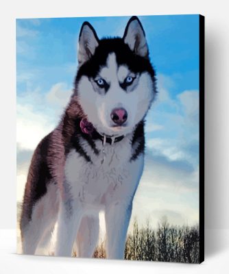 Husky In Snow Paint By Number