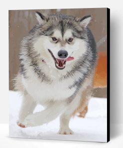 Husky Snow Paint By Number