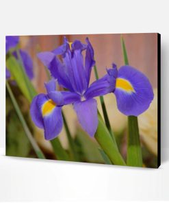 Purple Iris Flower Paint By Number