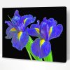 Irises Flowers Paint By Number