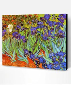 Irises Vincent Van Gogh Paint By Number