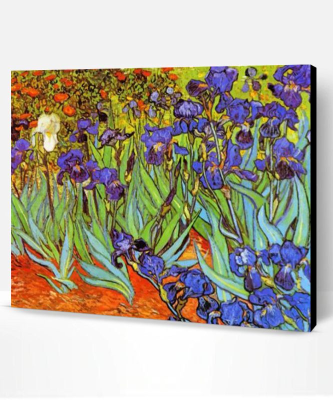 Irises Vincent Van Gogh Paint By Number