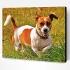 Jack Russell Puppy Paint By Number