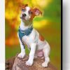 Jack Russell Animal Paint By Number